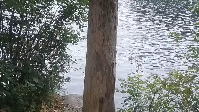 Hodson Park (Town of Camden) - Camden, ME
