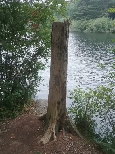 Hodson Park (Town of Camden) - Camden, ME