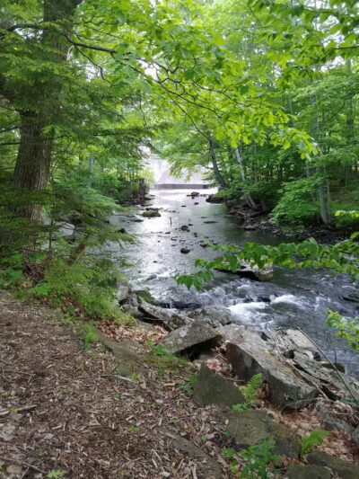 Seabright Park & Trail (Town of Camden) - Camden, ME