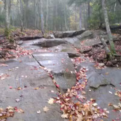 Seabright Park & Trail (Town of Camden) - Camden, ME