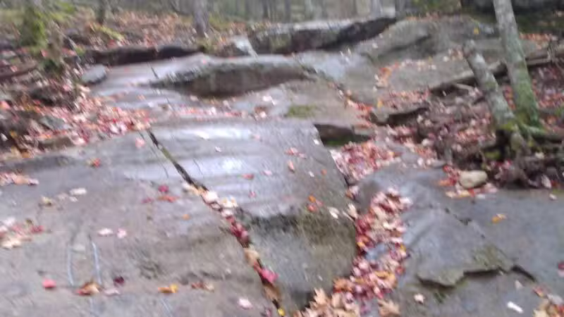 Seabright Park & Trail (Town of Camden) - Camden, ME
