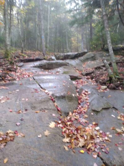 Seabright Park & Trail (Town of Camden) - Camden, ME