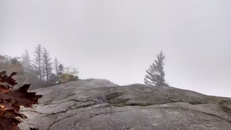 Seabright Park & Trail (Town of Camden) - Camden, ME