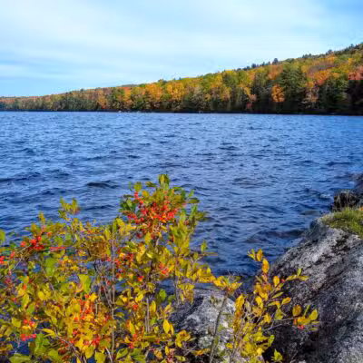 Lake George Regional Park HQ - Canaan, ME