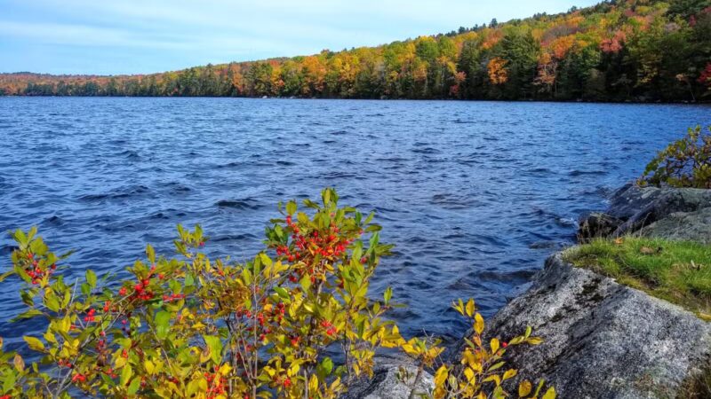 Lake George Regional Park HQ - Canaan, ME