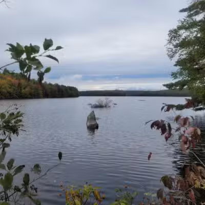 Lake George Regional Park HQ - Canaan, ME