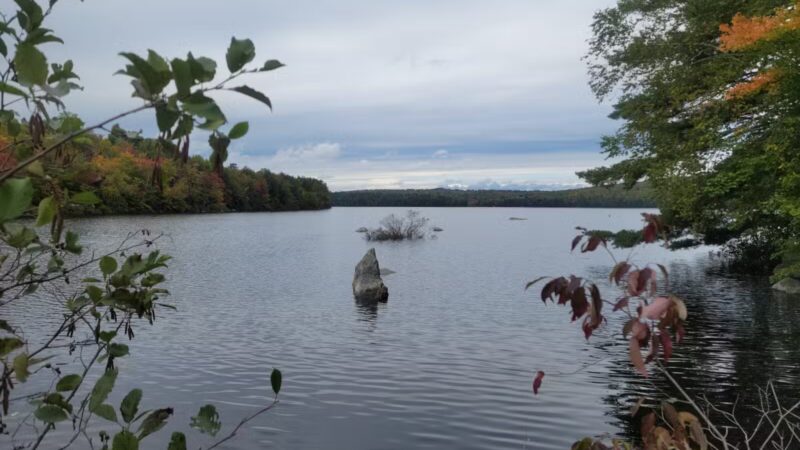 Lake George Regional Park HQ - Canaan, ME
