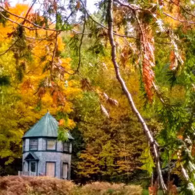 Lake George Regional Park HQ - Canaan, ME