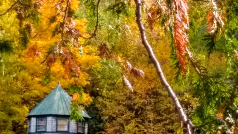 Lake George Regional Park HQ - Canaan, ME