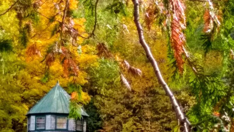 Lake George Regional Park HQ - Canaan, ME