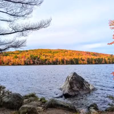 Lake George Regional Park HQ - Canaan, ME