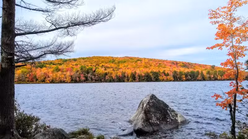 Lake George Regional Park HQ - Canaan, ME