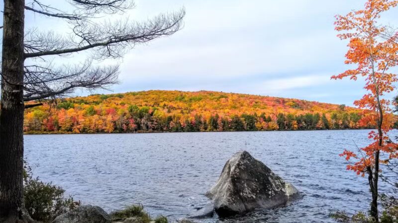 Lake George Regional Park HQ - Canaan, ME