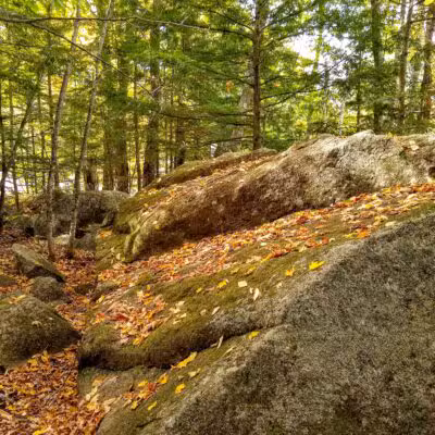 Lake George Regional Park HQ - Canaan, ME