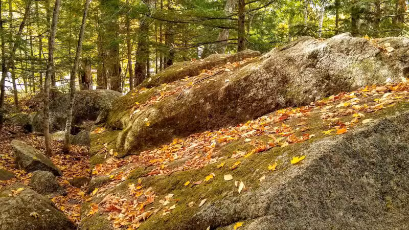 Lake George Regional Park HQ - Canaan, ME