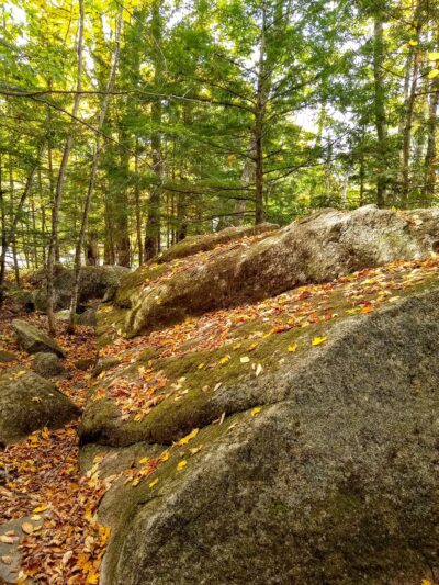 Lake George Regional Park HQ - Canaan, ME