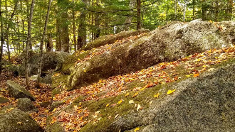 Lake George Regional Park HQ - Canaan, ME