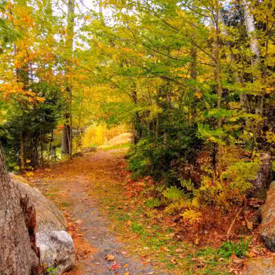 Lake George Regional Park HQ - Canaan, ME