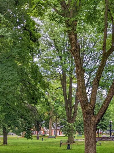 Canton Village Park - Canton, NY