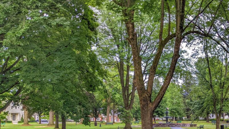 Canton Village Park - Canton, NY