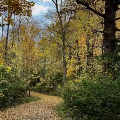 Remington Recreation Trail - Canton, NY