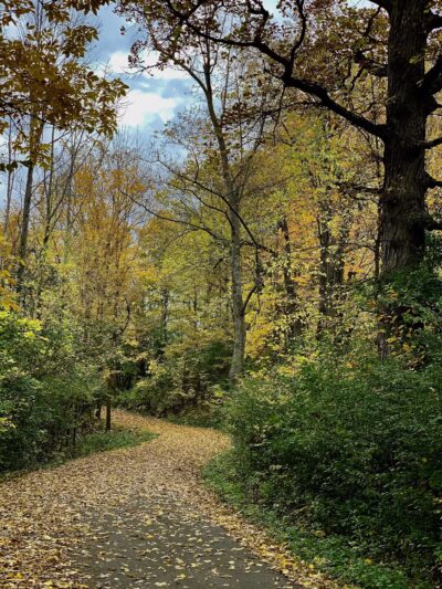 Remington Recreation Trail - Canton, NY