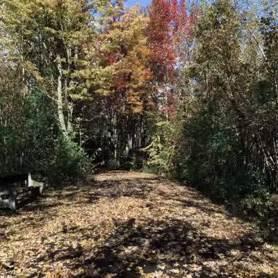 Remington Recreation Trail - Canton, NY