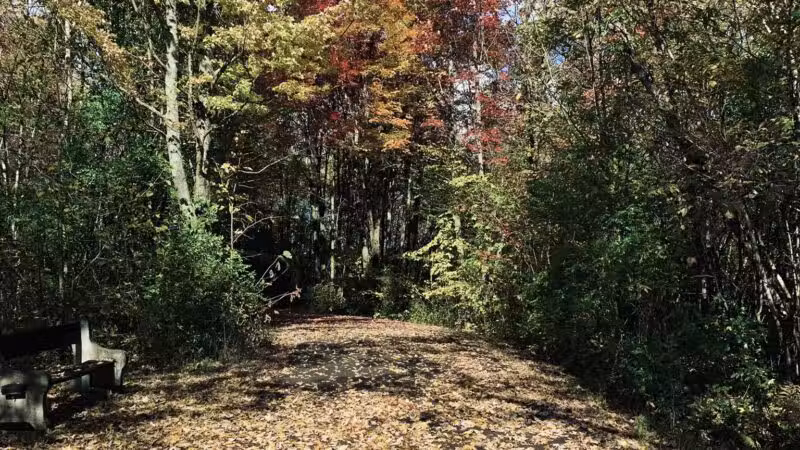 Remington Recreation Trail - Canton, NY