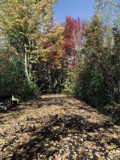 Remington Recreation Trail - Canton, NY