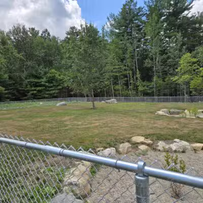 Carlisle Dog Park - Carlisle, MA