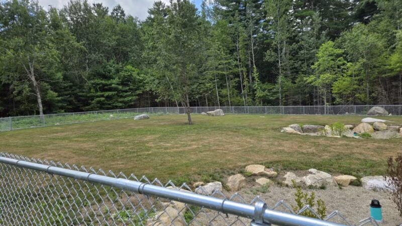 Carlisle Dog Park - Carlisle, MA