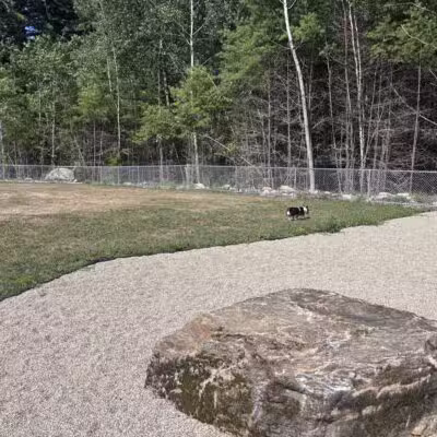Carlisle Dog Park - Carlisle, MA