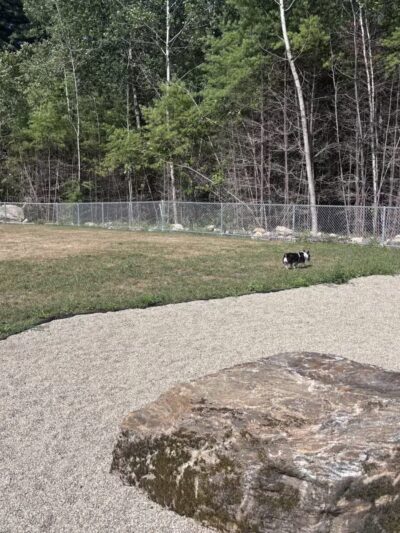 Carlisle Dog Park - Carlisle, MA