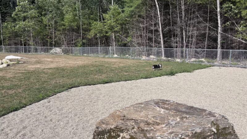 Carlisle Dog Park - Carlisle, MA