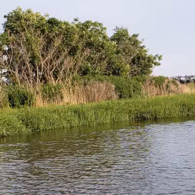 Hackensack Meadowlands Conservation and Wildlife Area - Carlstadt, NJ