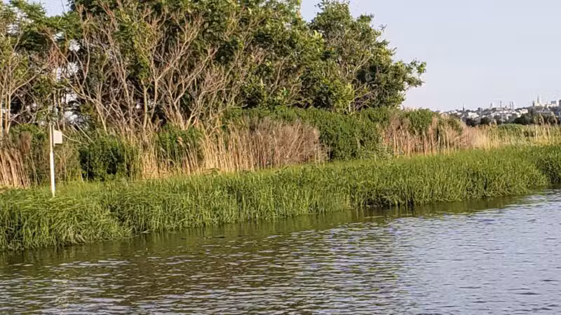 Hackensack Meadowlands Conservation and Wildlife Area - Carlstadt, NJ