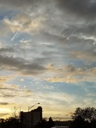 Hackensack Meadowlands Conservation and Wildlife Area - Carlstadt, NJ