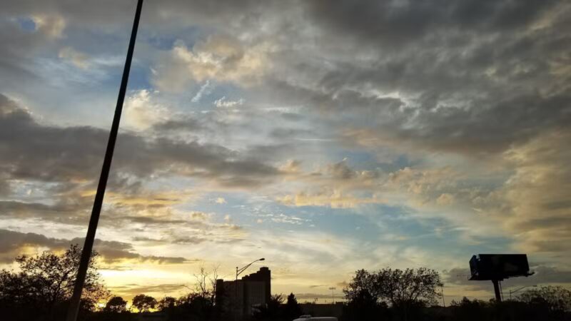 Hackensack Meadowlands Conservation and Wildlife Area - Carlstadt, NJ