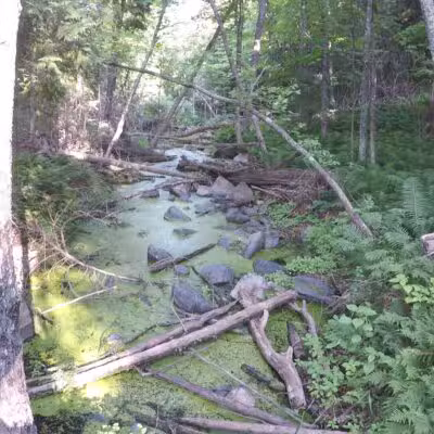 Carlton Trail - Carlton, MN