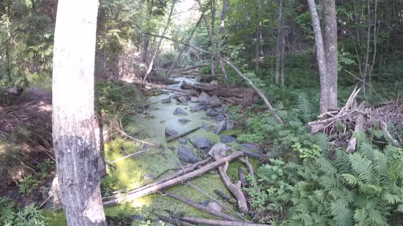 Carlton Trail - Carlton, MN