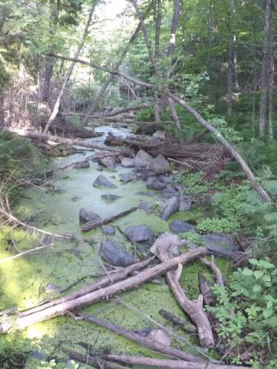 Carlton Trail - Carlton, MN