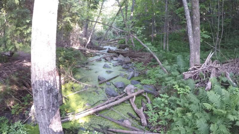 Carlton Trail - Carlton, MN