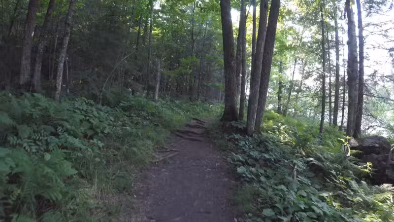 Carlton Trail - Carlton, MN