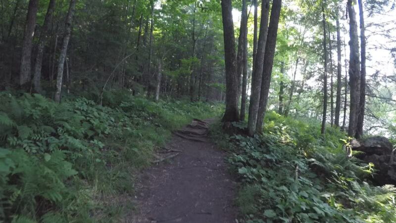 Carlton Trail - Carlton, MN