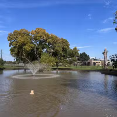 McInnish Dog Park - Carrollton, TX