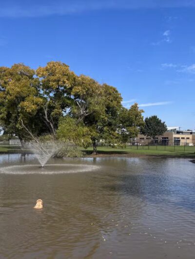 McInnish Dog Park - Carrollton, TX