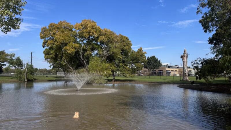 McInnish Dog Park - Carrollton, TX