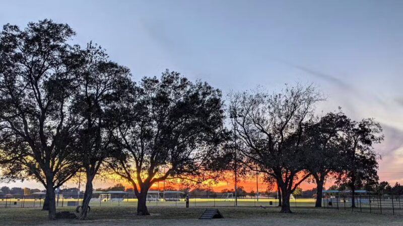 McInnish Dog Park - Carrollton, TX