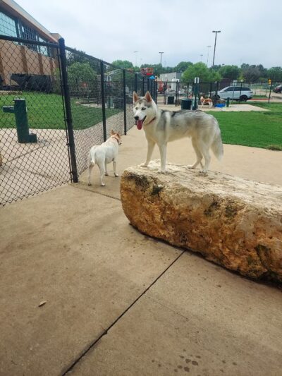 Rosemeade Dog Park - Carrollton, TX