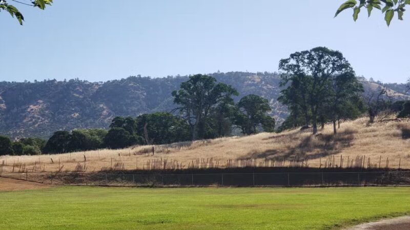 Catheys Valley Park - Catheys Valley, CA